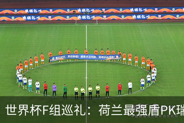 世界杯F组巡礼：荷兰最强盾PK瑞典犀利刀 日本短板明显