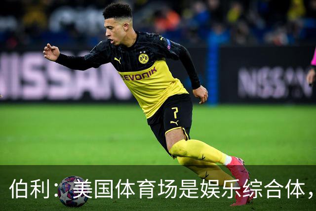 伯利：美国体育场是娱乐综合体，而欧洲体育场功能却只是容纳观众
